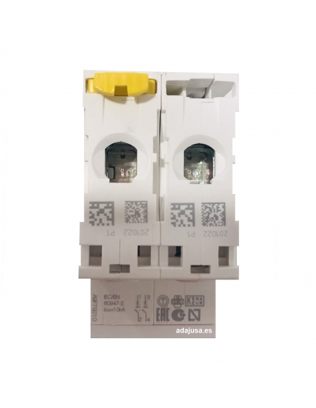 Leistungsschalter 2 Pole 10A (2x10A) IC60N C 6kA - Schneider