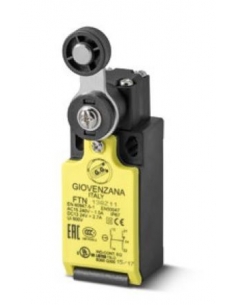 FTN Series Roller Lever Race End - Giovenzana
