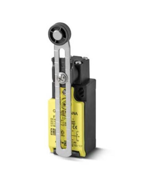 FTN Series Roller Lever Race End - Giovenzana