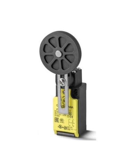 Verstellbarer Hebelendschalter mit verstellbarer Riemenscheibe 50mm FTN Serie - Giovenzana