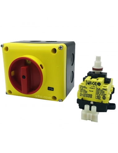 Box with three-phase switch 32A (3 poles) yellow-red - Giovenzana