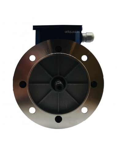 Three-phase cast iron electric motor 75Kw 100HP 400/690V Flange B5 6 poles 1000 | ADAJUSA | price