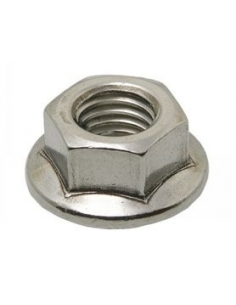 Nut with washer