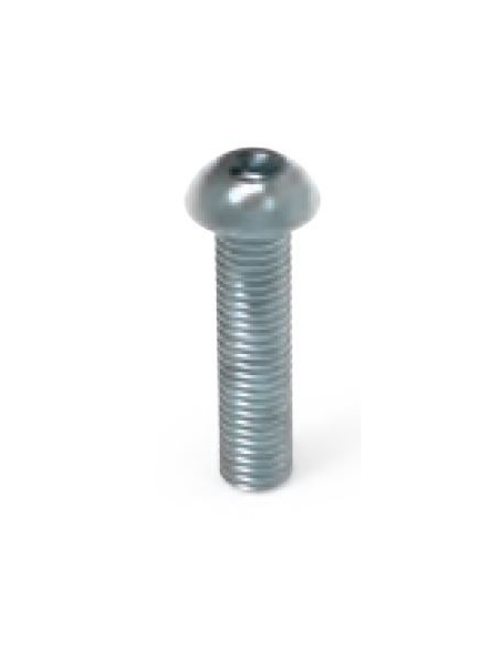 Screw allen round head M6 galvanized
