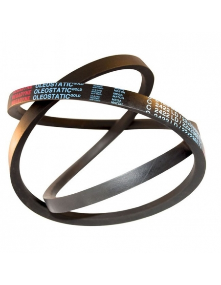 V-belt section SPA Oleostatic Gold SPA1907 10x1907mm MEGADYNE | ADAJUSA