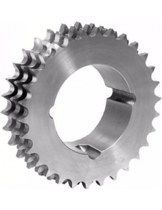 Triple taper lock sprockets 1 x 17.02 16B-3 ISO 606 - ADAJUSA