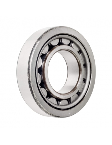 Cylindrical roller bearings NJ-306 30x72x19mm ISB - ADAJUSA