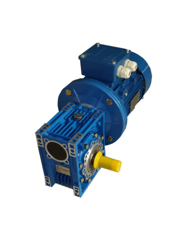 Einphasen-Getriebemotor 0,37kW 0,5CV 230Vac 1500 U/min Übersetzung 25 T40 (56rpm)