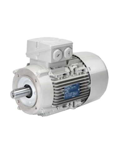 Three-phase motor 0.75Kw/1CV 3000 rpm Flange B14 - IE3 - Siemens FL