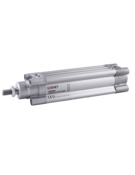 Pneumatikzylinder 50x100 doppeltwirkend LH050100 - Aignep