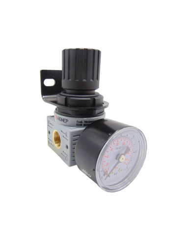 Regler 1/4 0-12 bar komplette FRL MINI-Serie - Aignep