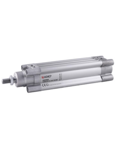 Pneumatic cylinder Ø32 double acting LH series - stroke on request Aignep