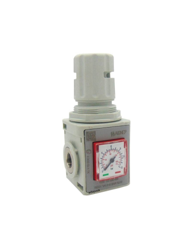 Regulador presión con manómetro y bloqueable 1/4 0-8 bar tamaño 1 serie FRL EVO  - Aignep