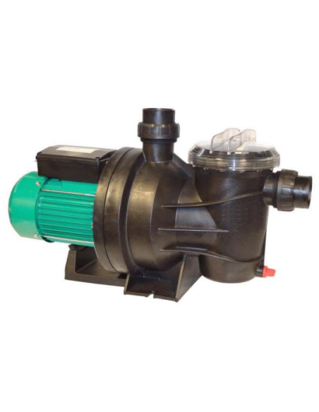 Einphasige selbstansaugende Pumpe für Schwimmbadreiniger 0,75kW / 1PS