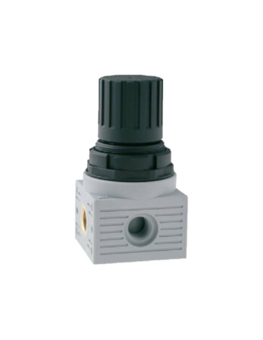 Regler schnellauslass 1/4 0-8 bar Serie FRL MINI - Aignep