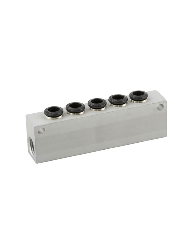 Verteiler einfach 2 Einlässe 1/8 - 5 Auslässe 4mm aus Aluminium Serie 55000 - Aignep