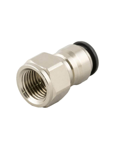 Straight female threaded fitting 1/8 - 4mm tube Series 55000 - Aignep