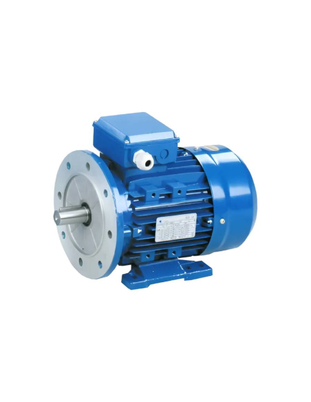 Three-phase electric motor 0.75kW 1HP B35 legs 2 poles 3000 reduced casing | ADAJUSA | price