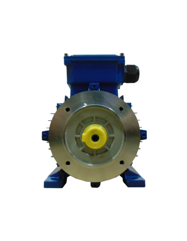 Three-phase electric motor 0.55kW 0.75HP B34 legs 2 poles 3000 | ADAJUSA | price