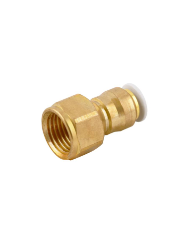 Straight female fitting 1/4 6mm tube for food and drinking water use Series 59000 FOOD - Aignep