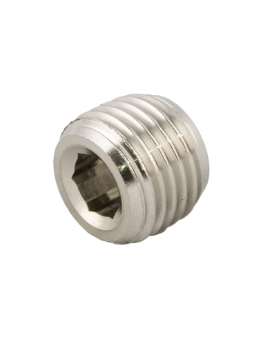 Conical male Plug 1/4 INOX Series 62000 - Aignep