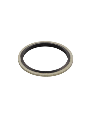 1/4 Gasket in Steel and NBR - Aignep