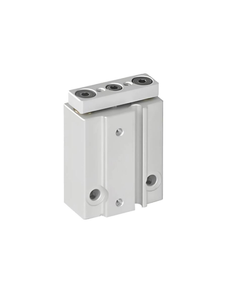 Doppelt geführter Pneumatikzylinder 6x5mm, doppeltwirkend, kompatibel mit SMC - Mindman | ADAJUSA | Preis