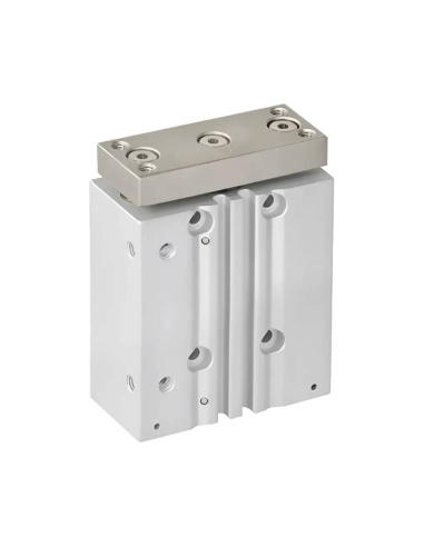 Compact pneumatic cylinder double guide...