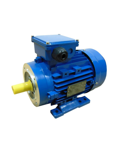 Single-phase electric motor 1,1Kw 1,5CV 230V Flange B34 3000 high torque | ADAJUSA | price