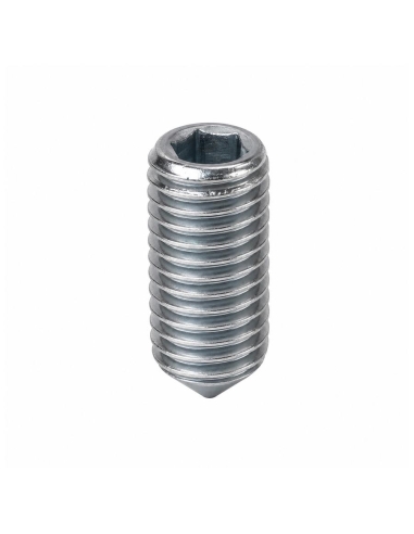Screw prisoner allen M6 galvanized | adajusa