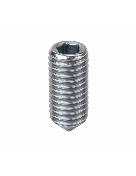 Screw prisoner allen M6 galvanized | adajusa