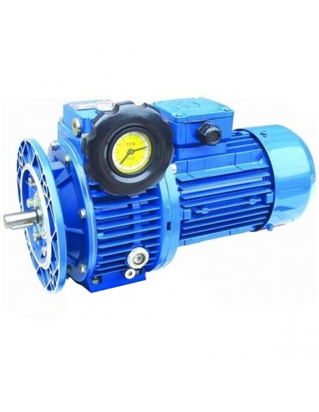 Drehstrommotor-Variator 3CV Flansch B5 Durchmesser 250 Wellendurchmesser 28