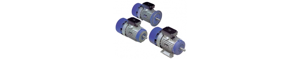 Motor eléctrico con freno 2 polos 3000 rpm trifásico patas brida B3 B5 B14 | ADAJUSA