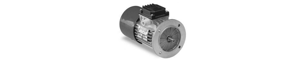 Motor eléctrico aluminio asíncrono 2 polos 3000 rpm trifásico patas brida B5 | ADAJUSA