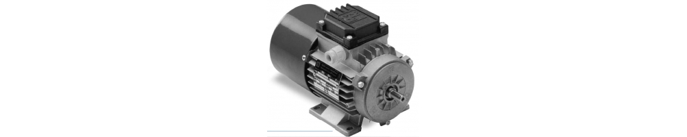 Asynchroner Aluminium-Elektromotor 6-polig 1000 U/min dreiphasig B3 Flanschfüße | ADAJUSA