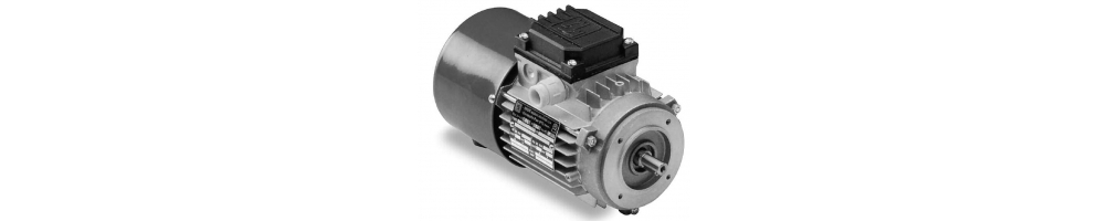 Motor eléctrico aluminio asíncrono 6 polos 1000 rpm trifásico patas brida B14 | ADAJUSA