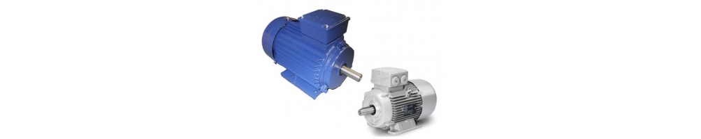 Asynchroner Elektromotor 2-polig 3000 U/min dreiphasig B3 B5 B14 Flanschfüße | ADAJUSA
