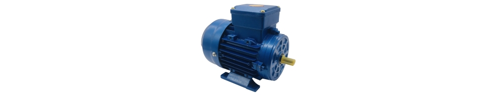 Elektromotor einphasig mittleres Anlaufmoment 230 V 1500 U/min B3 B5 B14 Preis online