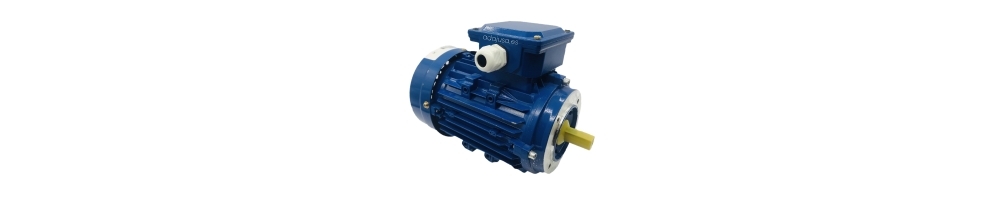 Einphasiger Elektromotor mit hohem Anlaufmoment 230V 1500 U/min Flansch B14 ADAJUSA | Preis
