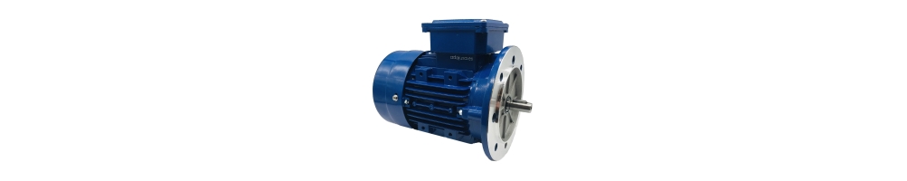 Asynchroner Gusseisen-Elektromotor 2-polig 3000 U/min Drehstromflansch B5 Preis kaufen billig Verkauf online billig billig Preis