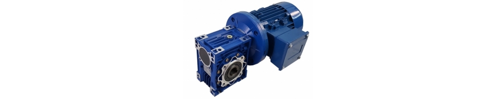 Drehstrom-Schneckengetriebemotor 0,18Kw 0,25CV 230/400Vac verschiedene Übersetzungsverhältnisse | ADAJUSA