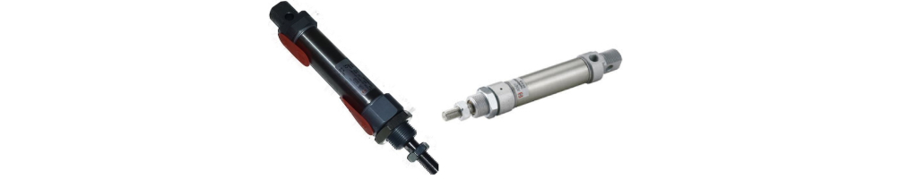 Einfache doppeltwirkende Pneumatikzylinder mit 20 mm Durchmesser | ADAJUSA