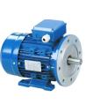Einphasenmotoren 3000 rpm Flansch B35 (Beine) Mittleres Drehmoment