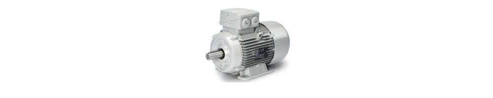 SIEMENS SIMOTICS 6-poliger Drehstrommotor aus Aluminium und Grauguss 1000 U/min mit Flanschfüßen B3 ADAJUSA
