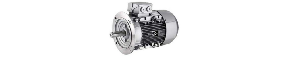 Motor eléctrico SIEMENS SIMOTICS aluminio y fundición 8 polos 750 rpm trifásico brida B5 ADAJUSA